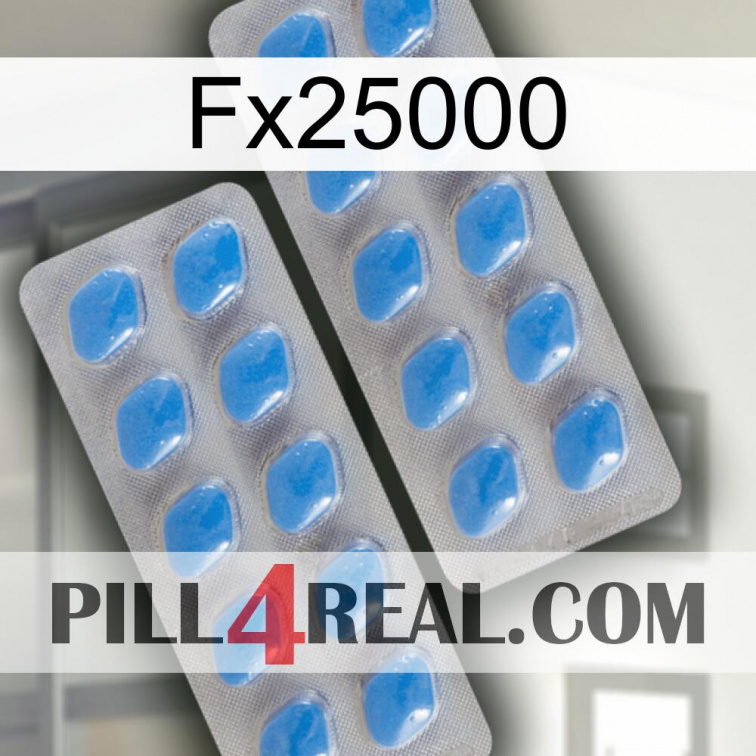 Fx25000 23